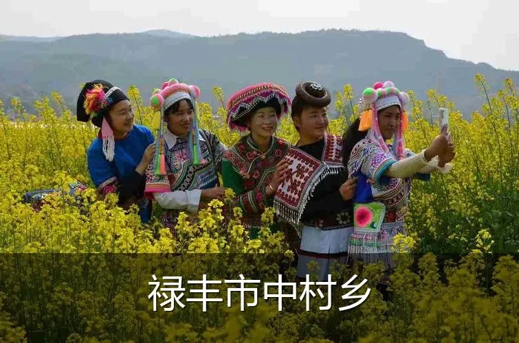 禄丰市中村乡
