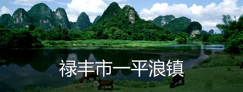 禄丰市一平浪镇