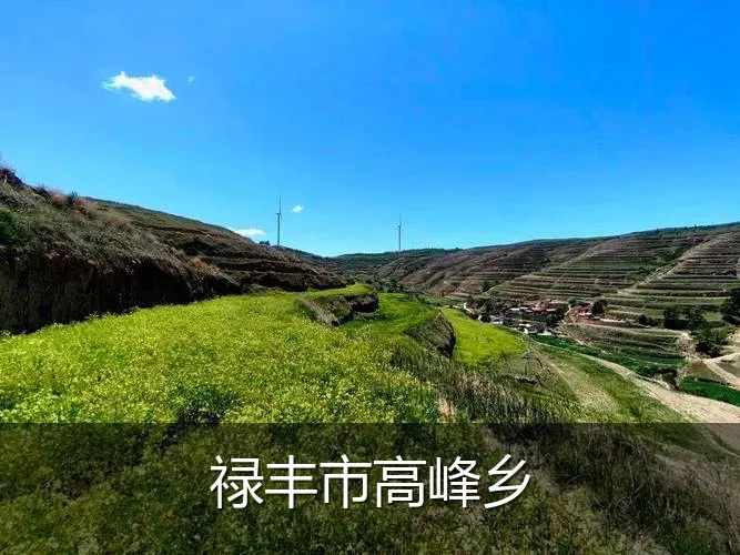 禄丰市高峰乡