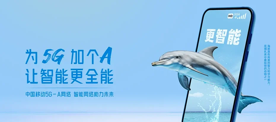 禄丰市禄丰市妥安乡 移动宽带